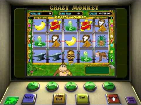 Crazy money ii slot machine